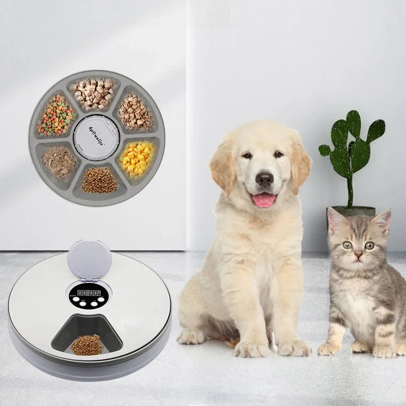 Automatic Pet Dog Feeder round Timing Feeder 6 Meals 6 Grids Cat Dog Electric Dry Food Dispenser 24 Hours Feed Pet Supplies